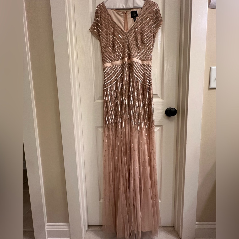 Gorgeous blush pink beaded Adrianna Papell gown